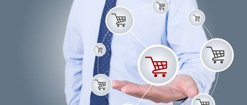 電子商務(wù)就業(yè)方向全景解析與信息咨詢服務(wù)探析